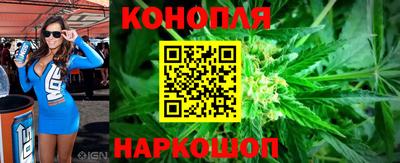 PSILOCYBIN Нальчик