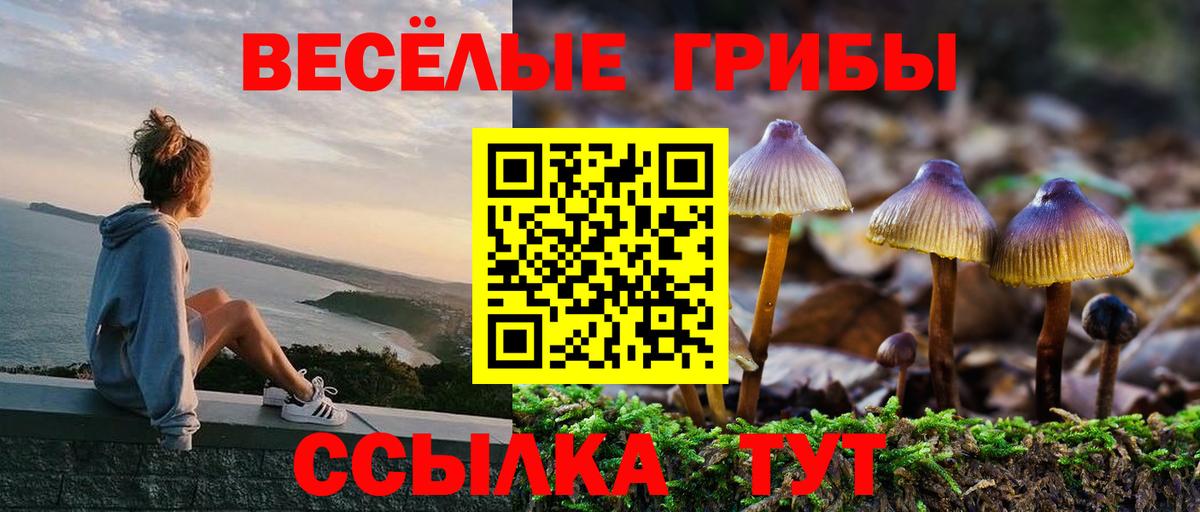 Галлюциногенные грибы MAGIC MUSHROOMS Пугачёв