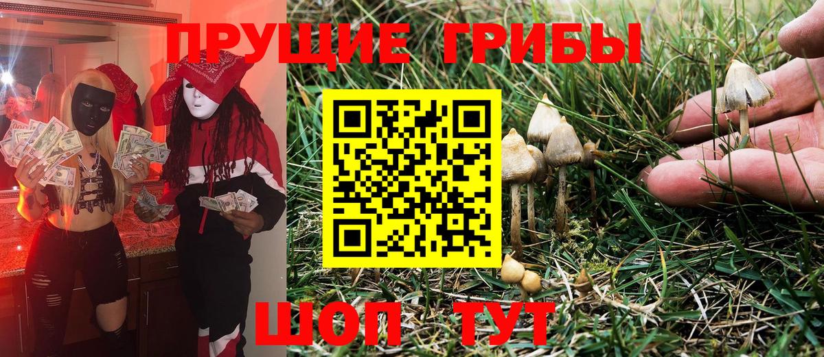 Псилоцибиновые грибы мухоморы  Вход с VPN  Пугачёв 